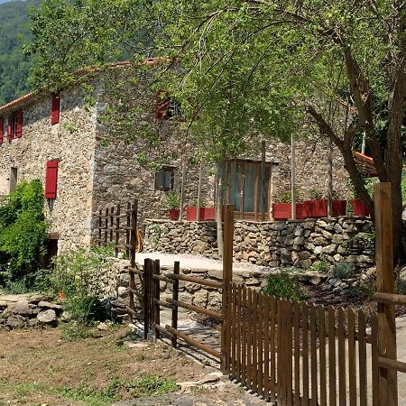 Apartamento Mas Graffouil Prats-de-Mollo-la-Preste Exterior foto