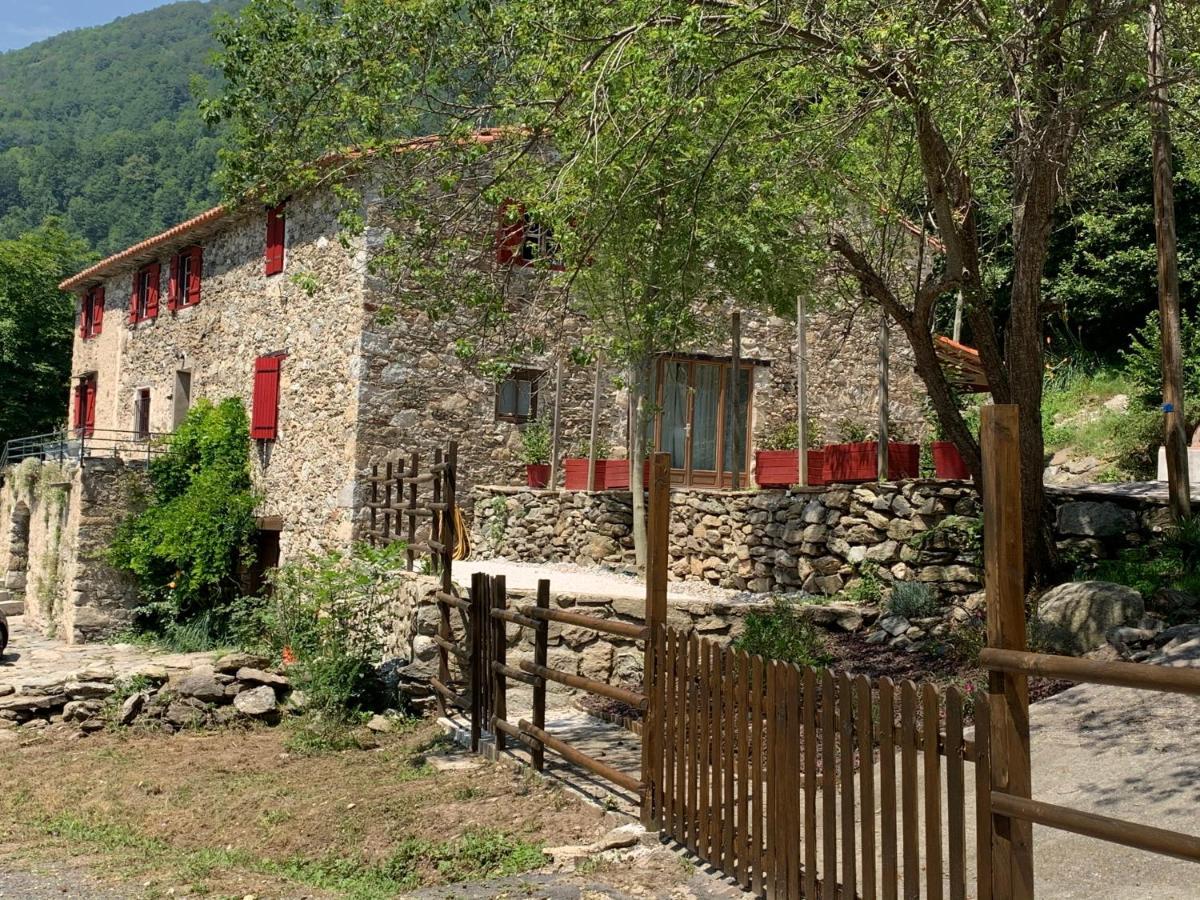 Apartamento Mas Graffouil Prats-de-Mollo-la-Preste Exterior foto