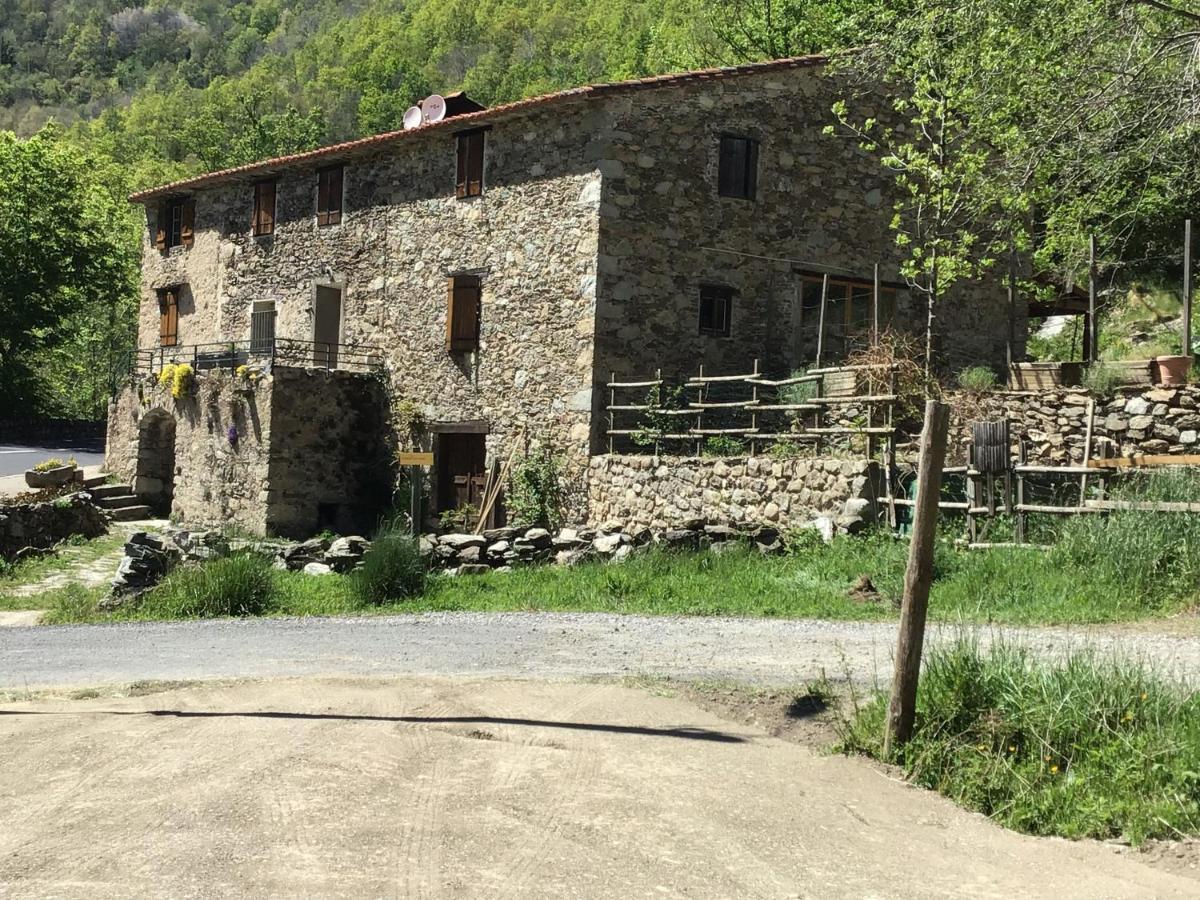 Apartamento Mas Graffouil Prats-de-Mollo-la-Preste Exterior foto