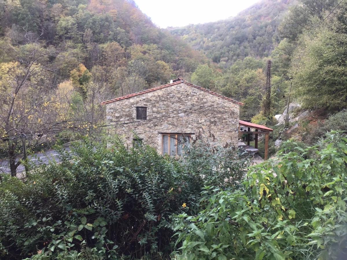 Apartamento Mas Graffouil Prats-de-Mollo-la-Preste Exterior foto